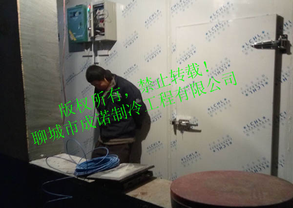 陽谷縣七級鎮肉雞養殖廠