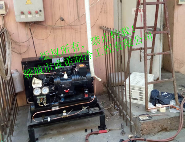 高唐縣水果蘿卜示范基地